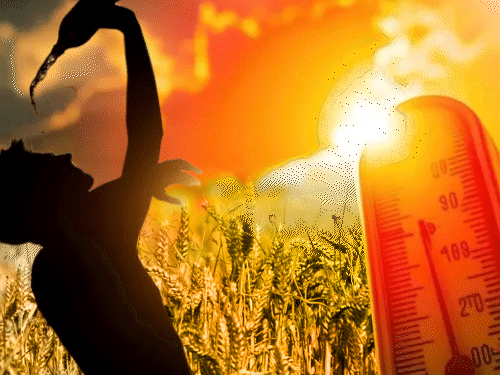 मार्च की शुरुआत में ही बढ़ी गर्मी