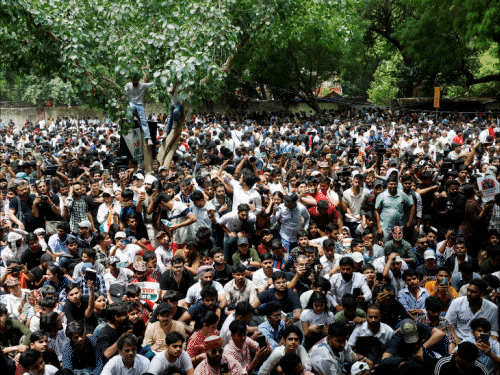 CJP का प्रदर्शन