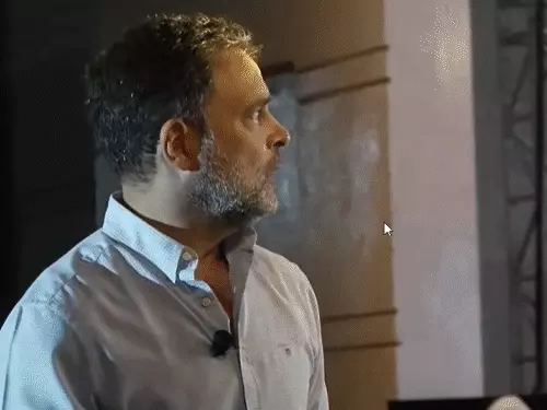 लोकसभा में विपक्ष के नेता राहुल गांधी