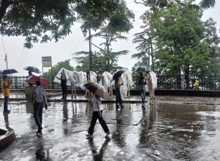 मानसून ने फिर पकड़ी रफ्तार, कई राज्यों में बारिश के आसार, IMD ने जारी किया अलर्ट